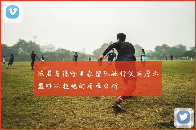 浓眉基德哈里森留队独行侠老詹加盟难以拒绝的局面分析